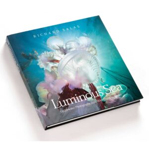 Luminous Sea Book Cover by Richard Salas