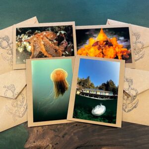 A set of 4 handmade cards all with underwater photographs (a jellyfish, an octopus, moon jelly, bright orange crab) on the covers