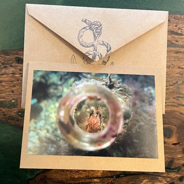 A handmade card with a photograph of a small fish peering through an air bubble